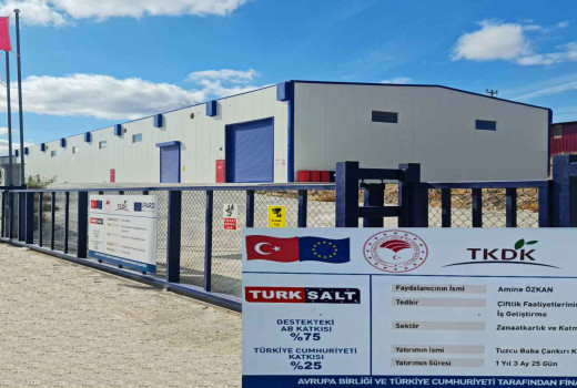 2026 yılında Kaya Tuzu Nereden Alınır?