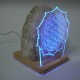 Tuz Lambası 3d Yaşam Çiçeği 5v Led Usb Kablolu - 3 - 4 kg Tuz Lambası 3d Yaşam Çiçeği 5v Led Usb Kablolu - 3 - 4 kg