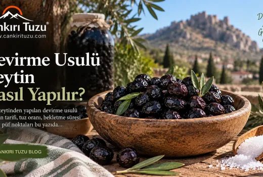Devirme Usulü Zeytin Nasıl Yapılır?