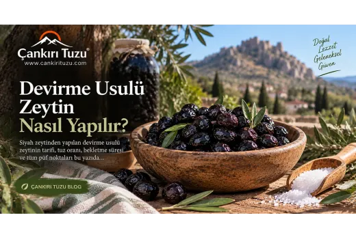 Devirme Usulü Zeytin Nasıl Yapılır?