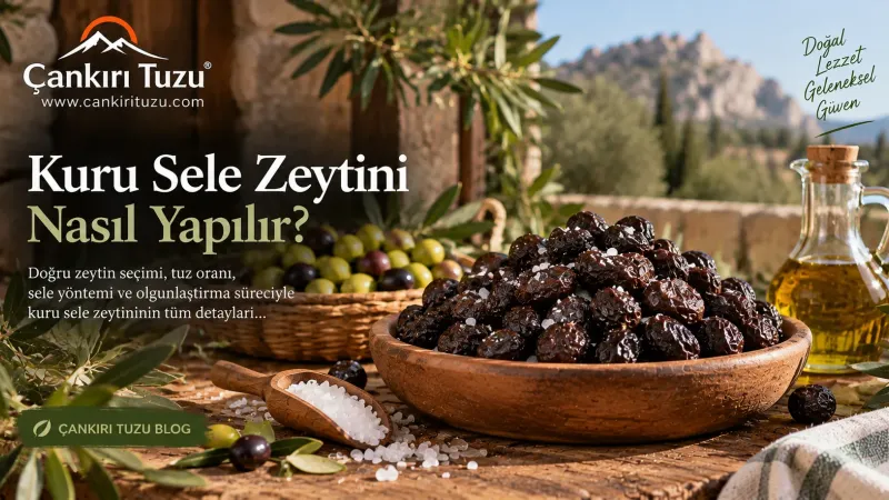 Kuru Sele Zeytini Nasıl Yapılır?