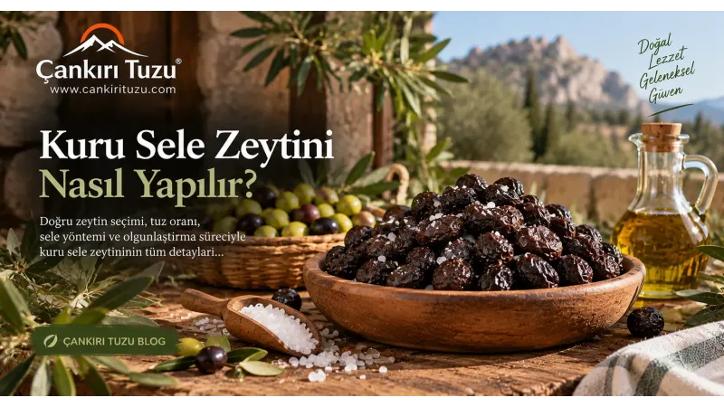 Kuru Sele Zeytini Nasıl Yapılır?