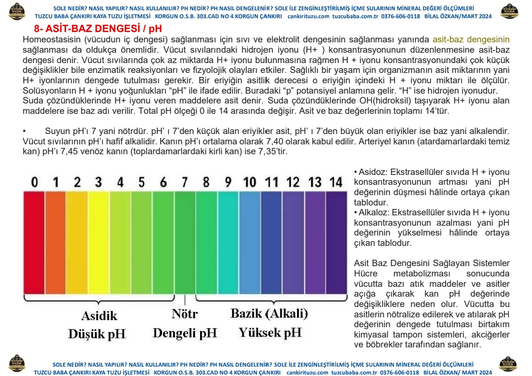 Sole Tuzlu Su Tansiyonu Yükseltmez mi?