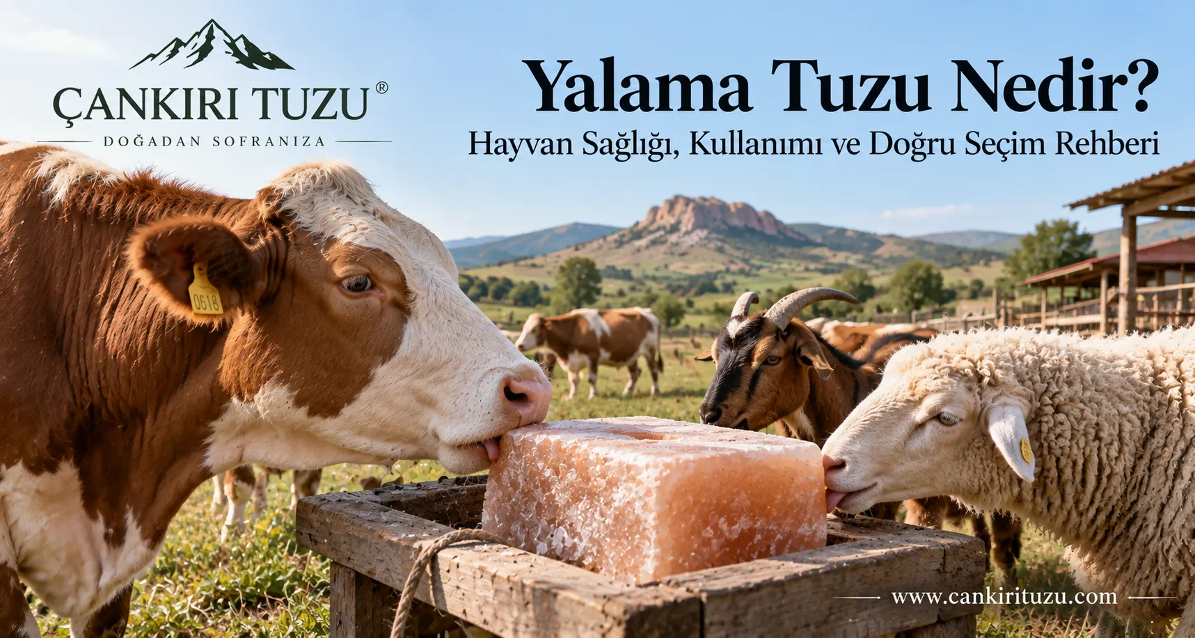 Yalama Tuzu Nedir?